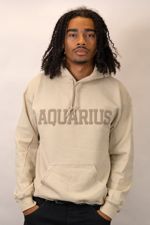 Sand Zodiac Puff Print Hoodie