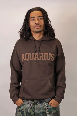 Chocolate Zodiac Puff Hoodie
