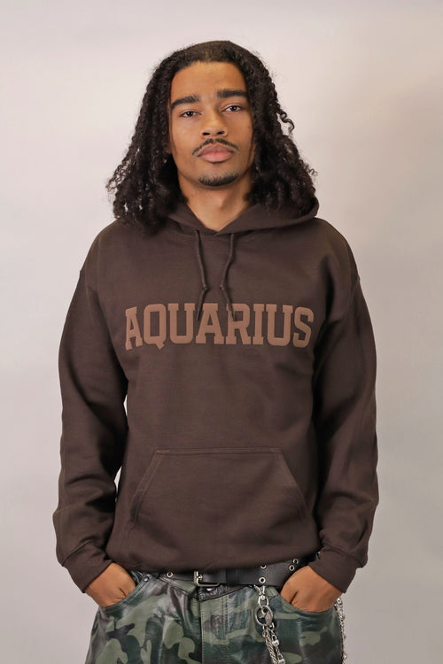 Chocolate Zodiac Puff Hoodie