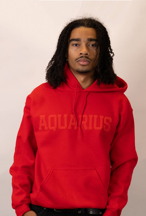 Red Zodiac Puff Print Hoodie