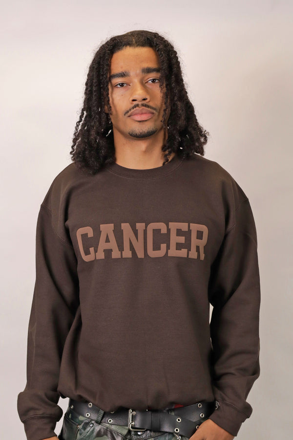 Chocolate Zodiac Puff Print Crewneck