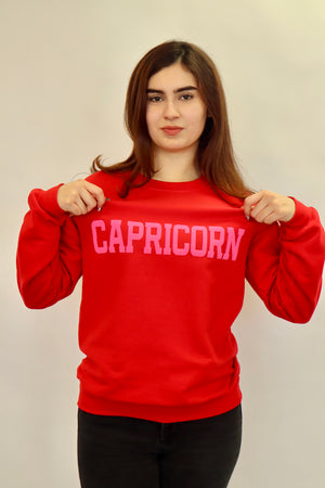 Red/Pink Combo Zodiac Puff Print Crewneck