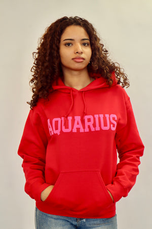 Red/Pink Combo Zodiac Puff Print Hoodie