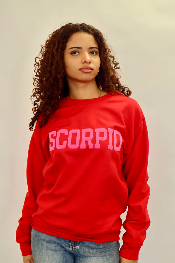 Red/Pink Combo Zodiac Puff Print Crewneck
